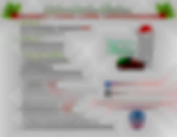 2025 Bertram Country Christmas