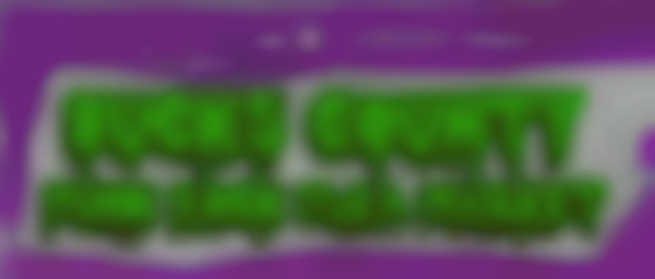 Bucks County Punk Rock Flea Market