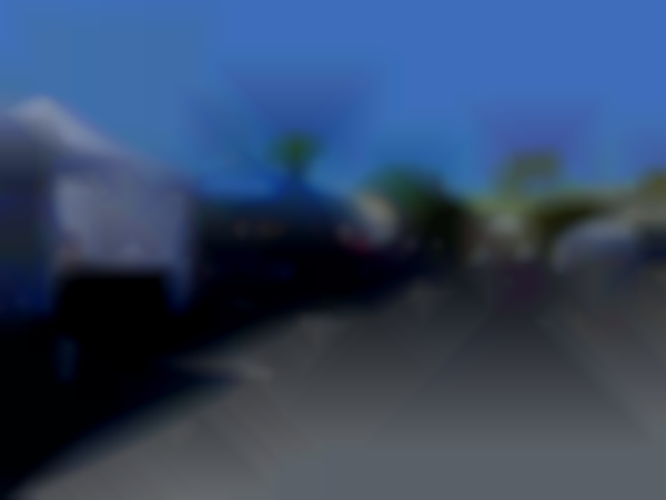 33rd Pinecraft Days Holiday Craft Fair