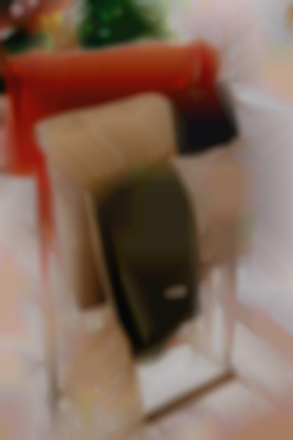 Home For the Holidays