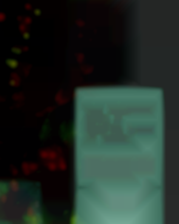 Pillar Arts Holiday Arts & Crafts Fair