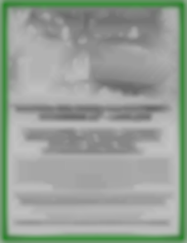 Nine Mile Community Center Old Fashioned Christmas and Craft Fair