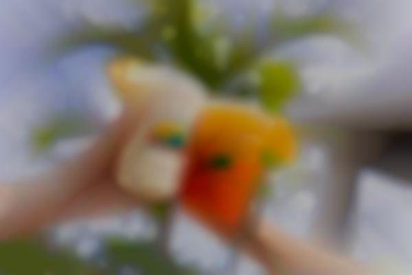 Slipaway’s Sip & Shop: Santa Paws Night Market