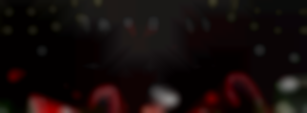 2025 Holiday Market in Brookfield