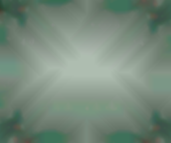 Broomtail Brewing's December Sunday Funday Vendor's Market