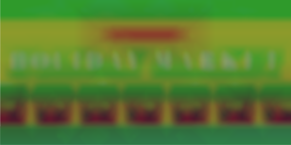 Daytime Holiday Market at Annmarie Garden