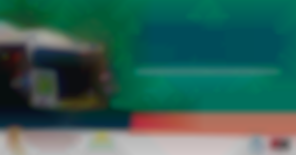 29th Annual Punta Gorda Sullivan Street Craft Festival