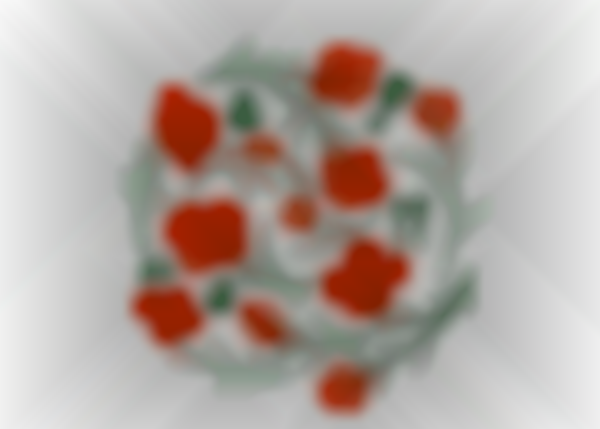 53rd Dance Palace Artisan Craft & Holiday Fair