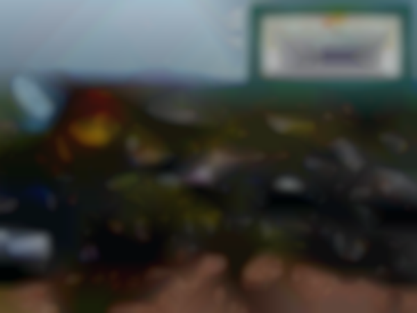 Presby Pickins’ Flea Market – Spring Market: Shop, Eat & Discover Treasures!