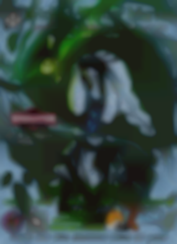 Wicked Winter Market 2025