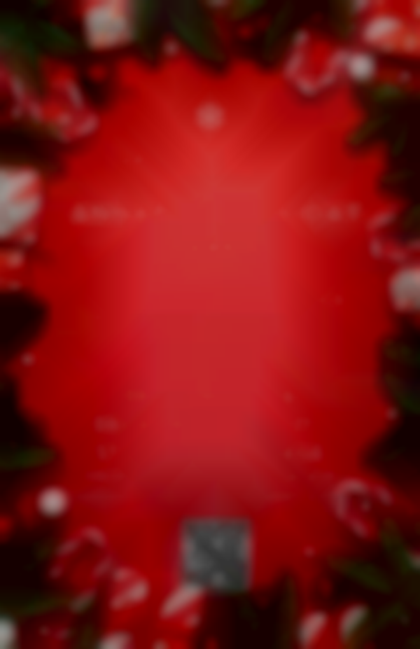 Annapolis Holiday Market