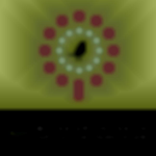 Boise Art Museum's Art in the Park