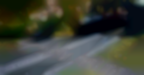 The Greater Rochester Train Fest