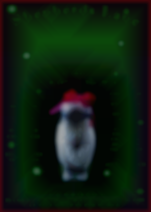 Holiday Boutique With Valais Blacknose Sheep