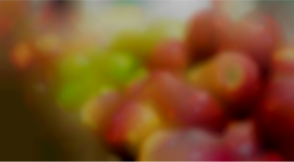 Artisan Market at Hyatt Regency Coconut Point