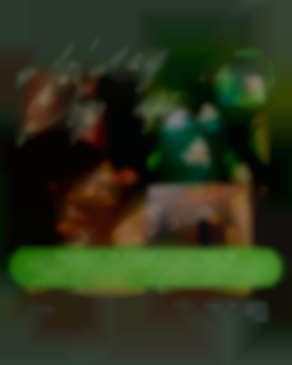 Pickle's Holiday Shopping Popup