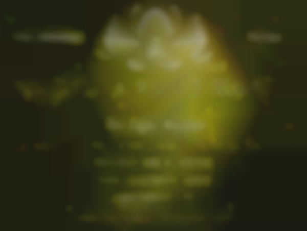 Sacred Journey Market - The Light Market 