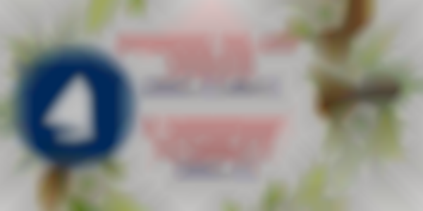 Osterville Historical Museum's Festival of Trees