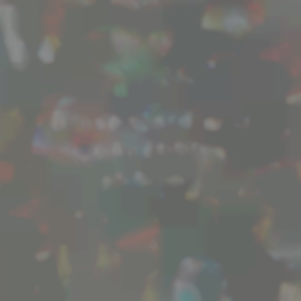 Boise Card and Collectibles Show