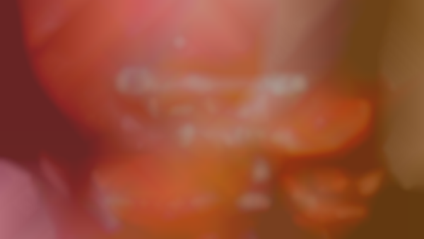 Chattanooga Cocktail Festival