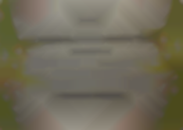 Allen County League of Artists and Craftsmen 40th Annual Spring Show/Sale