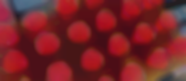 Memphis Tequila Festival