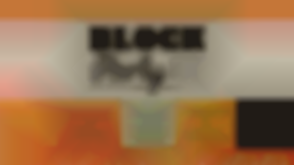 Block Party - An Experience Seven Oaks Event