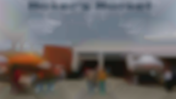 Downtown Elizabethton Maker's Market: 2nd Saturday of the Month