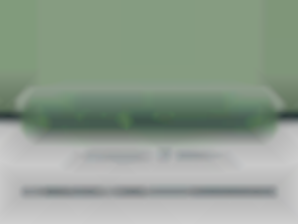 Iowa State Fair Flea Market