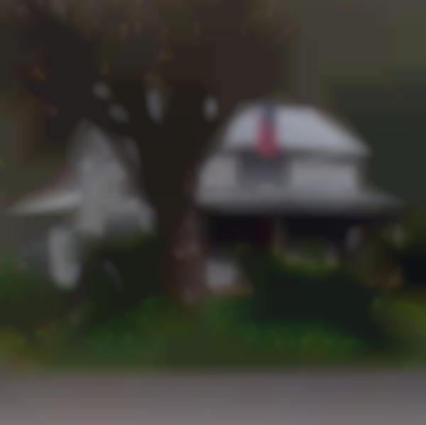 Amis Mill Trading Post 