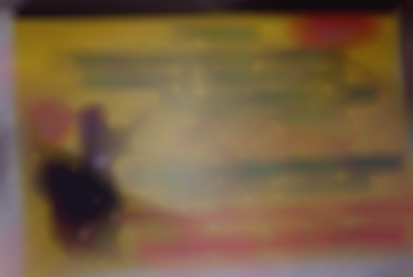 27th Annual Winterfest Flea Market, Antique Show and Junk Festival