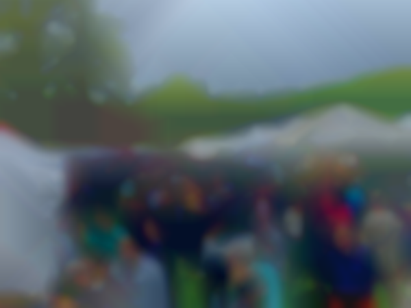 Spring Crafts at Lyndhurst 2026