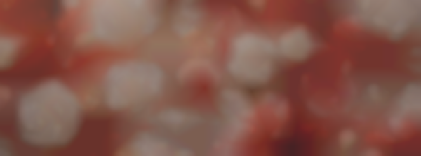 Connecticut Wedding Expo at the New Britain Museum of American Art