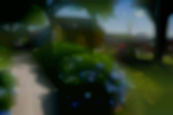 Hyannis HyARTS Artist Shanties weekend of October 2 - October 4 * OPEN May - Oct!