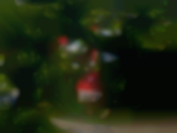 Antiques & Boutiques Market