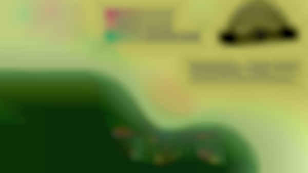 Urban Craft Market at Derby Days