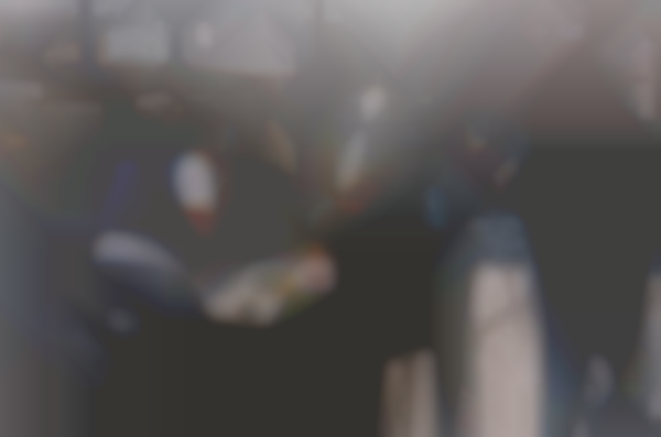 Inaugural “The Cookout, An Art and Culture Festival” Takes Place FEB. 21