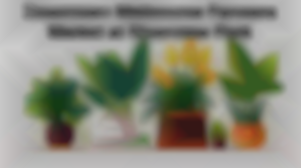 Shop Local Plant Market & More