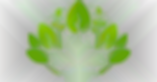 Shop Local Plant Market & More