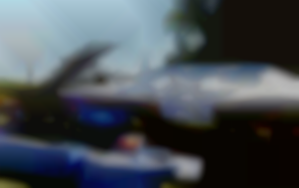 The 26th Annual Peace Fair 