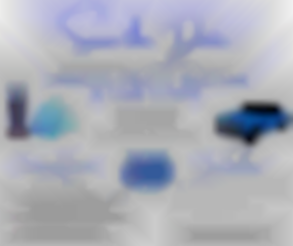 Southeastern Career Center-Cars and Crafts Event