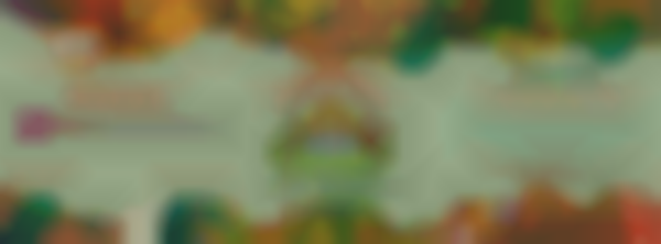 Downtown Elgin Market