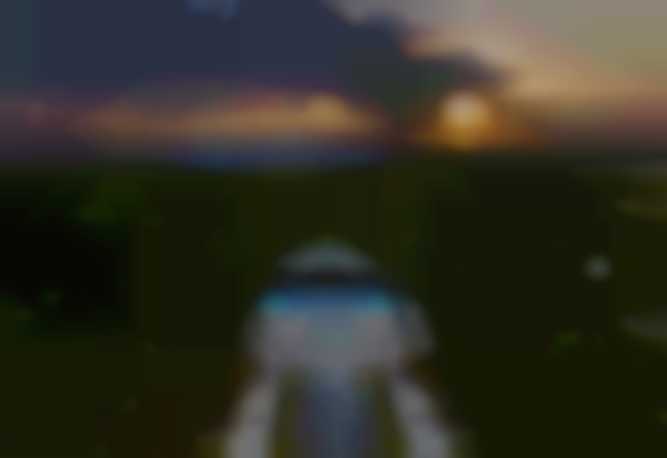 Artisan Market at Hyatt Regency Coconut Point