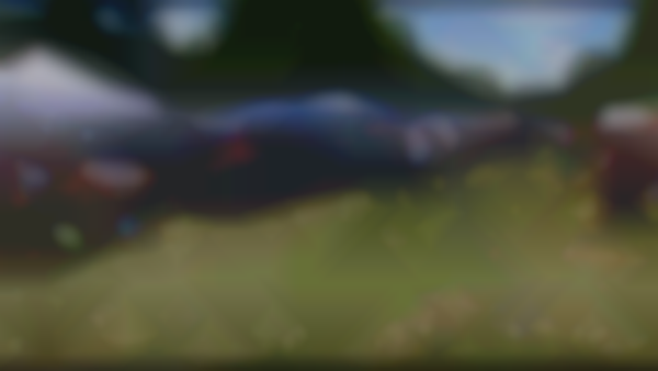 50th ANNUAL ORFORD NH FLEA MARKET