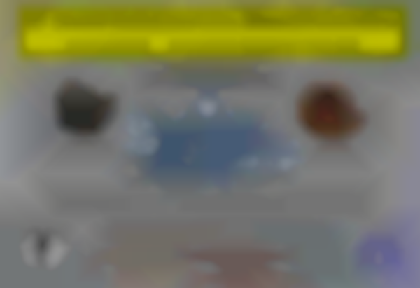 35th Annual North Jersey Gem, Mineral & Fossil Show