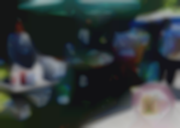 Beekman Community Market