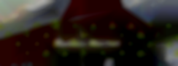 Justin Trails Winter Makers Market