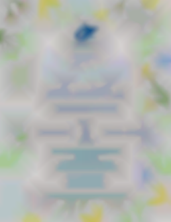 Spring Craft Show Benefitting Homeward Bound WV