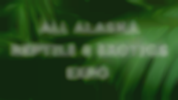 All Alaska Reptile & Exotics Expo 