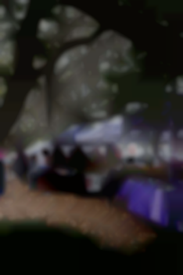 Tallahassee Downtown Market